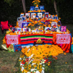 Galería de Fotos 100