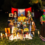 Galería de Fotos 96