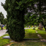 Galería de Fotos 53