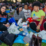 Galería de Fotos 42