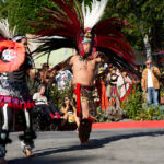 Galería de Fotos 350