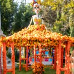 Galería de Fotos 193