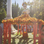 Galería de Fotos 192