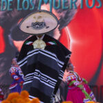 Galería de Fotos 73