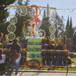Galería de Fotos 183