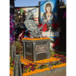 Galería de Fotos 170