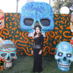 Galería de Fotos 73
