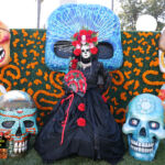 Galería de Fotos 188