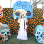Galería de Fotos 370