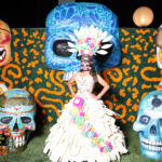 Galería de Fotos 501