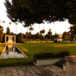 Galería de Fotos 9