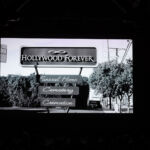 Galería de Fotos 65