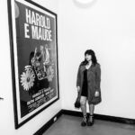 Galería de Fotos 46