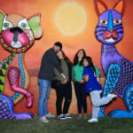 Galería de Fotos 501