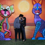 Galería de Fotos 504