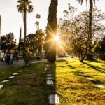 Galería de Fotos 7