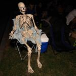 Galería de Fotos 47