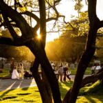 Galería de Fotos 10