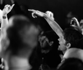 Galería de Fotos 49