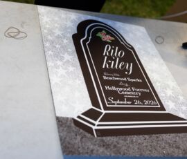 Galería de Fotos 45 1561295459