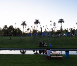 Galería de Fotos 57 1762270076