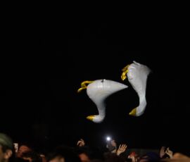 Galería de Fotos 60 857866167